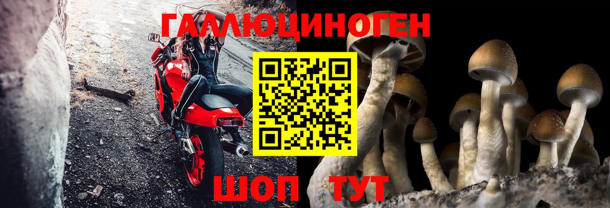 Псилоцибиновые грибы мухоморы  Вход с VPN  Обь  Псилоцибиновые грибы мицелий 